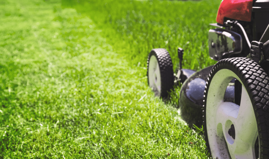 UR Lawn 